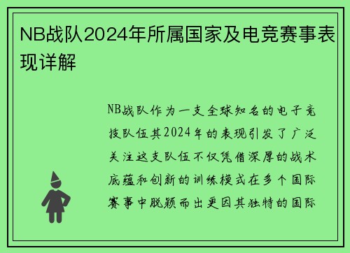 NB战队2024年所属国家及电竞赛事表现详解